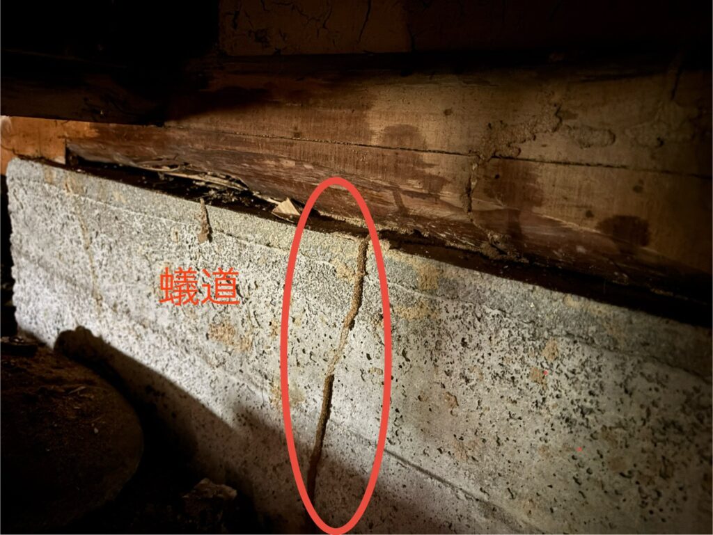 愛知県知多市シロアリ点検/調査工事店【窓香房】