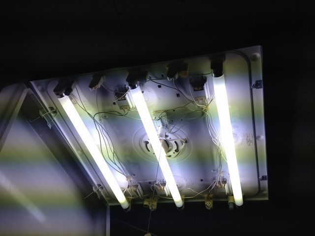 名古屋市西区 照明器具取替工事